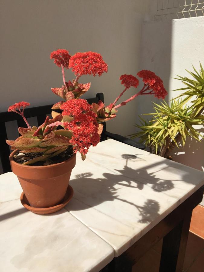 Your Vintage Townhouse لاغوس المظهر الخارجي الصورة